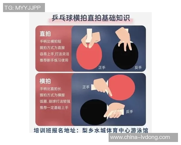 张丽独家分享乒乓球技巧与心得助你提升球技的秘诀与经验